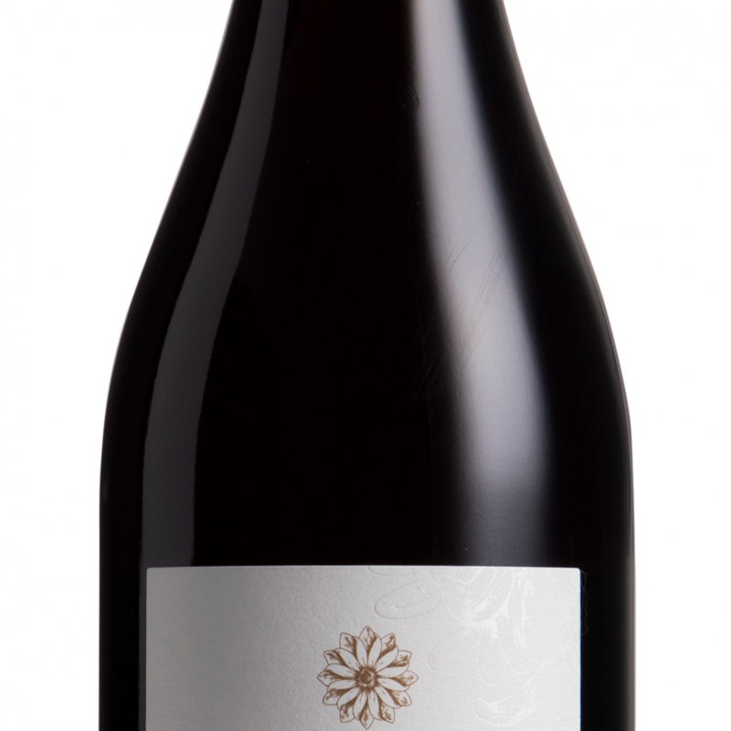 /images/2022/05/04/5965-rua-central-otago-pinot-noir-2020-75cl-cts.jpg:~image_container_id
